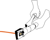 step 5
